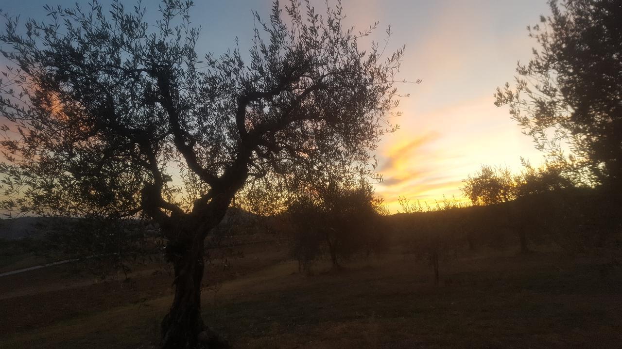 Agriturismo Villalta Ponte Felcino Eksteriør bilde